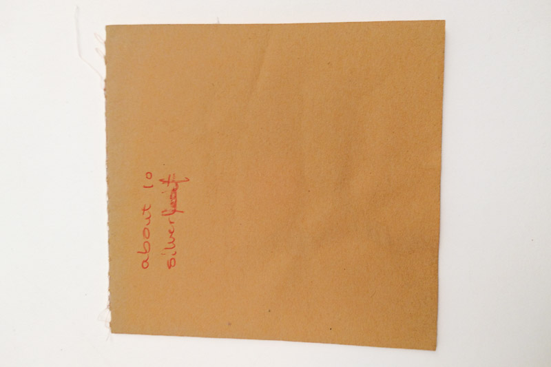 2026 sliver leaf 10 sheets 02 resize