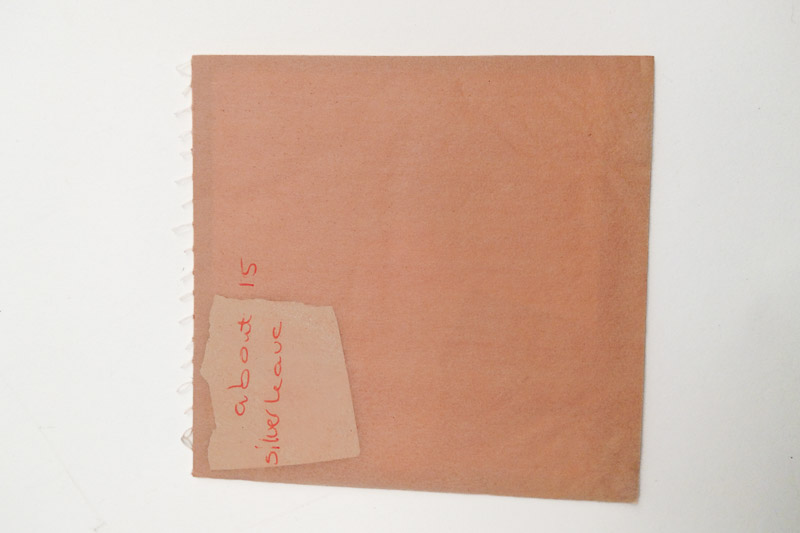 2026 sliver leaf 15 sheets 01 resize
