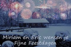 feestdagen 2010